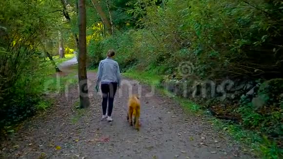 年长的女人和她的狗在森林小径上散步视频的预览图