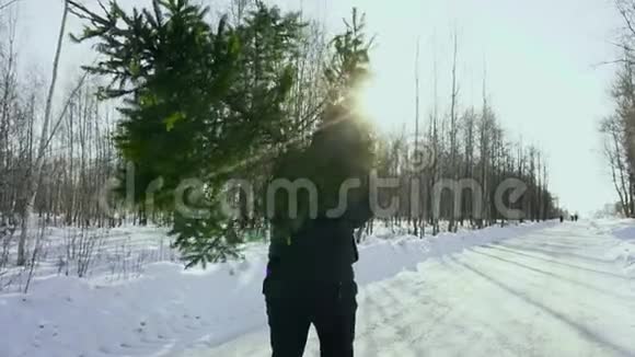 人们扛着倒下的圣诞树来到他的家在新年前的雪地里走在森林里视频的预览图