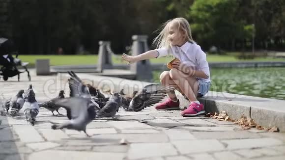 美丽的金发女孩在湖边的公园里喂鸟视频的预览图
