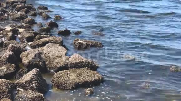 软洋波在平静的海洋中的具体摩擦破碎石砖用作破波机视频的预览图