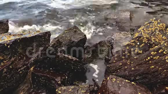 海浪冲击和撞击岩石海滩在落基海岸掀起巨浪石头巨石上的水溅视频的预览图