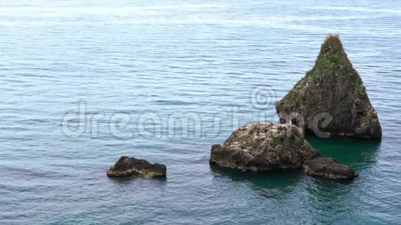 自然场景与海洋意大利的缓慢运动常见的海鸥在岩石上飞翔视频的预览图