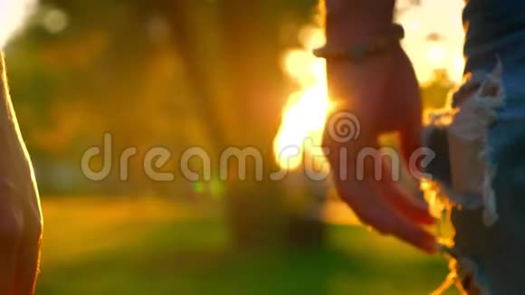 情侣的双手放在公园的视野里阳光环绕着他们美丽的触觉在一起视频的预览图
