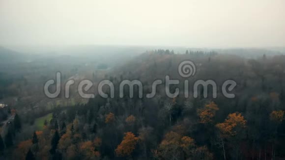 无人机高高飞翔在郁郁葱葱的秋雾森林之上美丽的国家公园自然保护区在锡古尔达拉脱维亚视频的预览图
