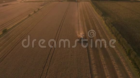英国联合收割机收割麦田的惊人日落镜头八月拍摄的4K空中镜头视频的预览图