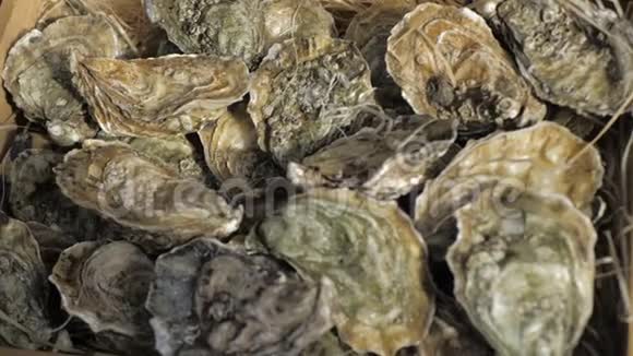 木头上有很多新鲜的封闭牡蛎快关门海洋食物视频的预览图