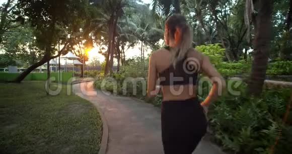 年轻的健身女子在公园的夕阳下奔跑夏天的时候视频的预览图