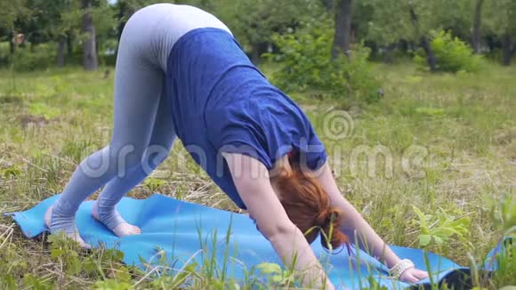 公园里的女士练瑜伽操向下的狗到向上的眼镜蛇强壮的身体视频的预览图