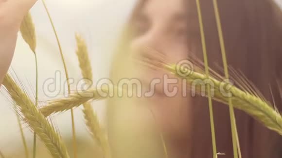 女人的手抚摸小麦作物神圣的阳光美丽的黑发抚摸视频的预览图