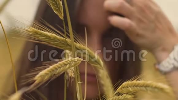 小麦作物女性在镜头中观看生育女性健康的背景标志视频的预览图