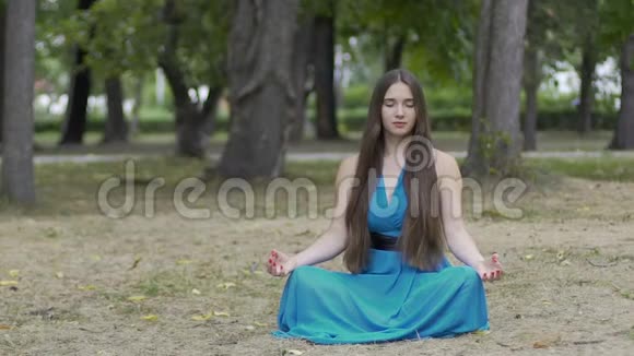 在公园里打坐的女人美丽的长发女性内心的平静视频的预览图