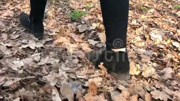 女孩穿着黑鞋走在秋天的森林里视频的预览图