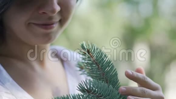 微笑的女人轻轻抚摸松枝热爱自然爱护环境视频的预览图