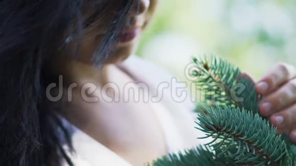 深色头发的女人轻轻抚松枝爱上大自然植物研究视频的预览图