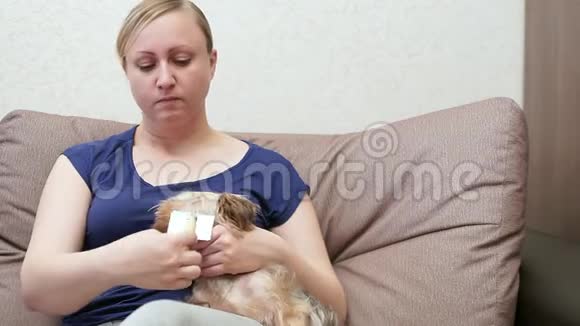 沙发上的女人把约克郡猎犬抱在怀里她正在梳理他的羊毛视频的预览图