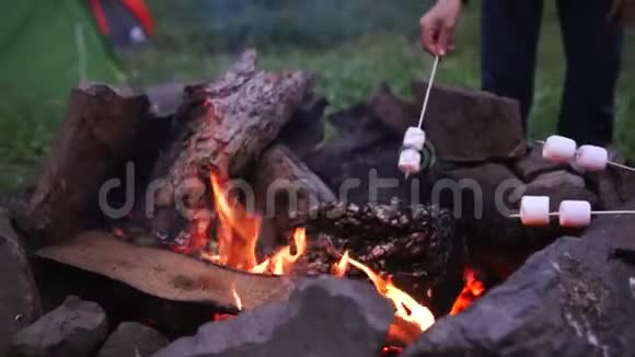 篝火上烤棉花糖4K视频视频的预览图