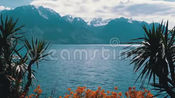 通过棕榈树和花卉景观在日内瓦湖和瑞士阿尔卑斯山在蒙特勒河岸视频的预览图