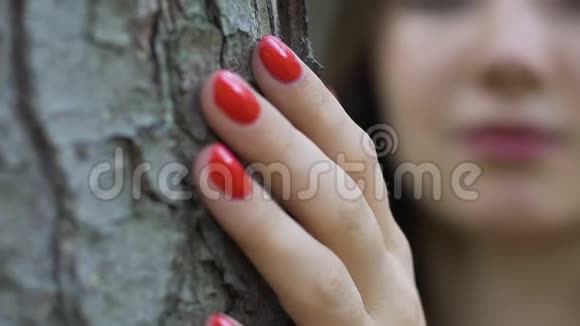 女人手牵着树女人感到树的疼痛衰老的砍伐树木视频的预览图