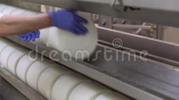 奶酪模具与凝乳奶酪在内部在压榨机在乳制品奶酪工厂视频的预览图