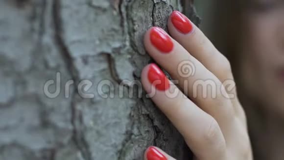 美丽的女人爱上大自然听一棵树手摸闭眼视频的预览图
