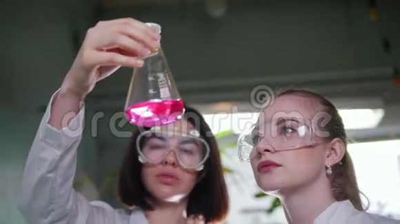 化学实验室两个年轻的女人看着瓶子里有粉红色的液体把它放在桌子上视频的预览图
