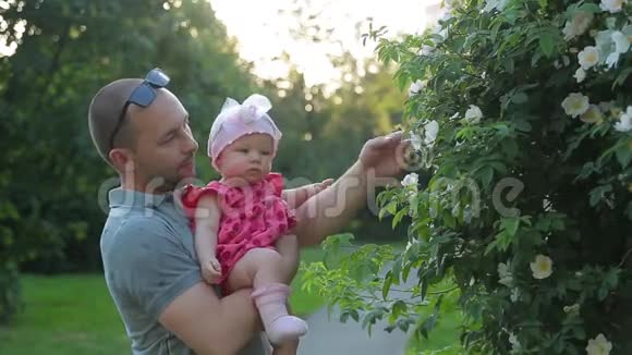 年轻的爸爸抱着一个穿着粉红色衣服的可爱的小女孩在图片城公园展示她的白色灌木花视频的预览图