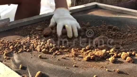在干燥的粘土中进行筛选以建造简单的土坯砖房视频的预览图