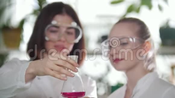 化学实验室两个年轻的女人看着瓶子里有粉红色的液体并评估结果微笑视频的预览图