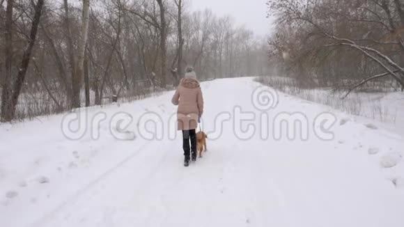 女人带着一只狗在一场猛烈的暴风雪中沿着公园的道路奔跑下雪了动作缓慢视频的预览图