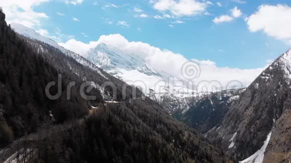 鸟瞰瑞士阿尔卑斯山的雪峰和峡谷中的松林瑞士视频的预览图
