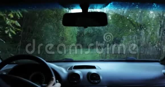 司机驾驶汽车穿过树林摄像机拍摄到汽车内部视频的预览图