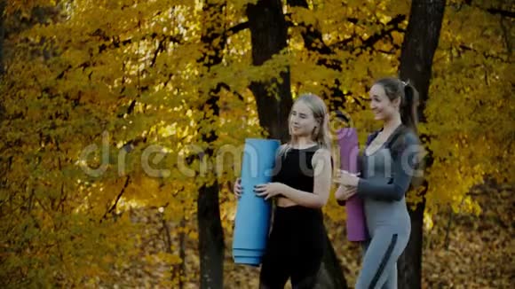 青年妇女团体在秋季城市公园参加瑜伽练习健康生活方式概念视频的预览图