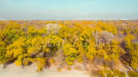 秋天色彩斑斓的风景从上面视频的预览图