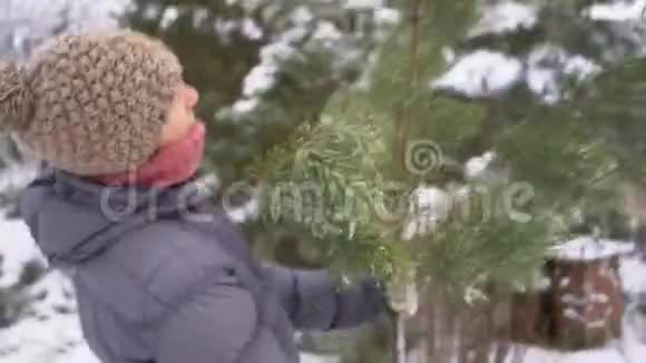 美丽的女人在冬天的雪园里捧着松枝为圣诞快乐新年快乐视频的预览图