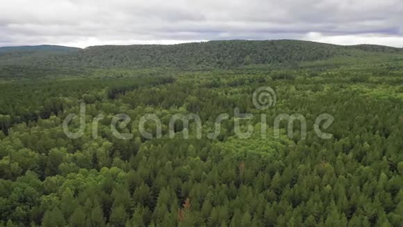 高空俯视图无人机飞越青山和森林视频的预览图