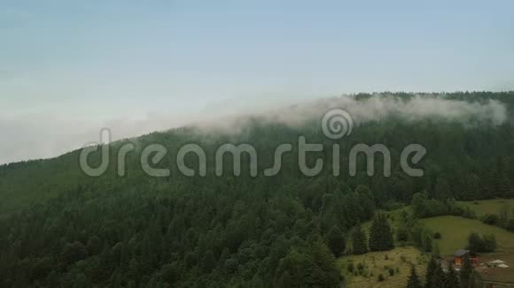 神秘而多雾的无人机在山上的雨林上空飞行全景观视频的预览图