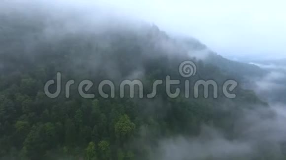 峡谷中的山河被森林覆盖视频的预览图