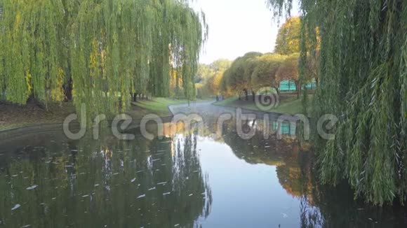 秋天的风景城市公园水面蒸发视频的预览图