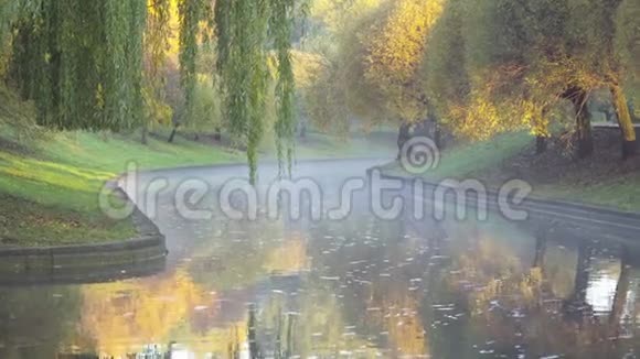 秋天的风景城市公园水面蒸发视频的预览图