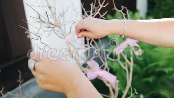 女孩把一条粉红色的丝带系在一棵干燥的装饰树上两性平等党活动视频的预览图