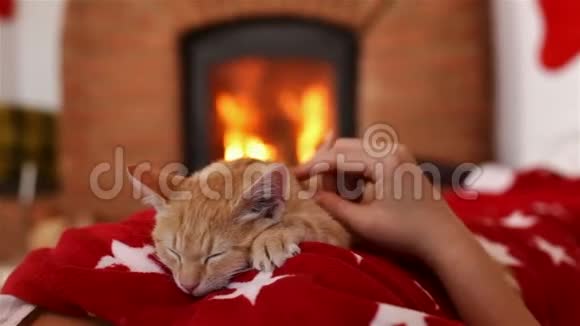小猫睡在壁炉前的女人胸前假日季节放松视频的预览图