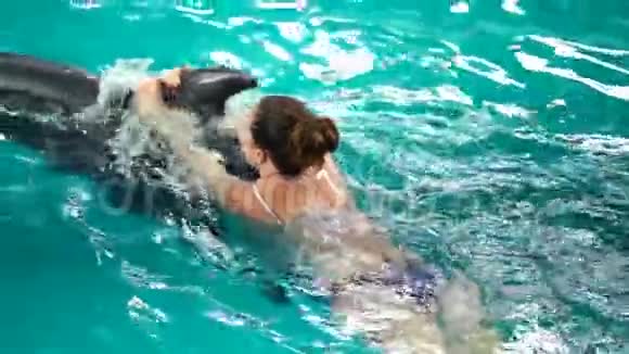 无法辨认的年轻女子与海豚一起游泳在蓝色水晶池水中训练慢动作自然动物野生视频的预览图