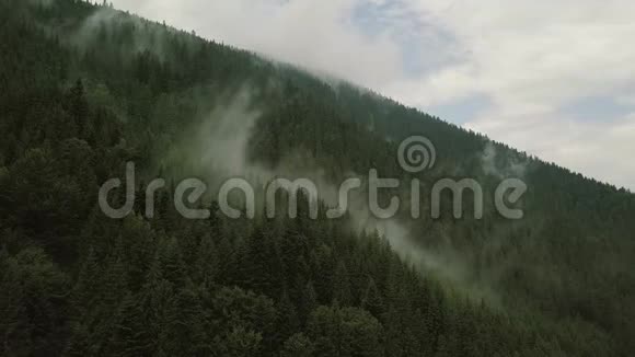 神秘而多雾的无人机在山上的雨林上空飞行查看静态视频的预览图