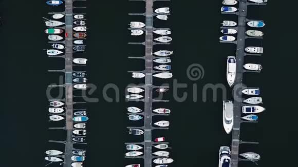 城市的海港在港口的一排排豪华的白色快艇视频的预览图