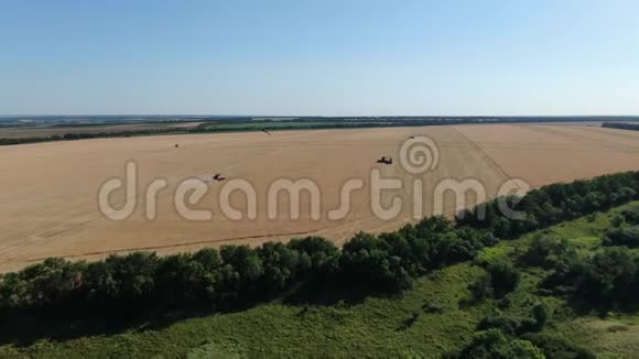 联合收割机工作的科尔扎大片农田的空中镜头视频的预览图