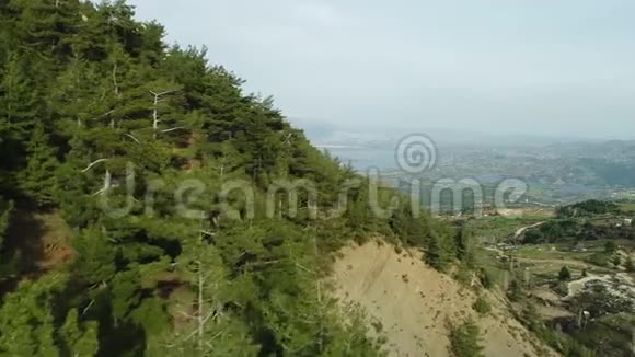 自然森林和山景7视频的预览图