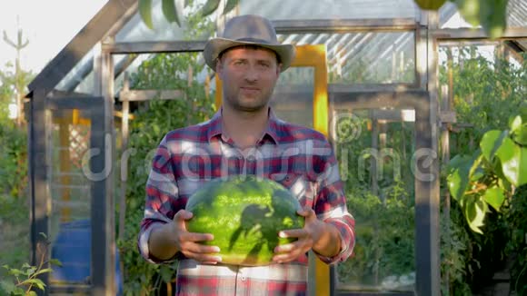 温室背景下戴着熟西瓜帽子的牛仔视频的预览图