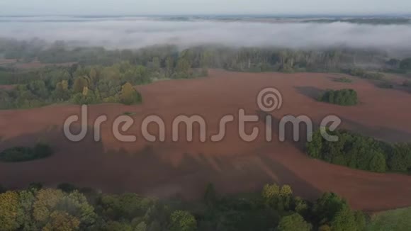 美丽的雾蒙蒙的清晨景观森林和犁地空中视频的预览图