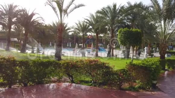 埃及美丽的酒店有棕榈和水潭视频的预览图