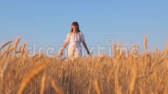 穿着白色衣服的女孩走着微笑着看着一片金色的麦地女孩手抚摸着成熟的麦穗慢悠悠的视频的预览图